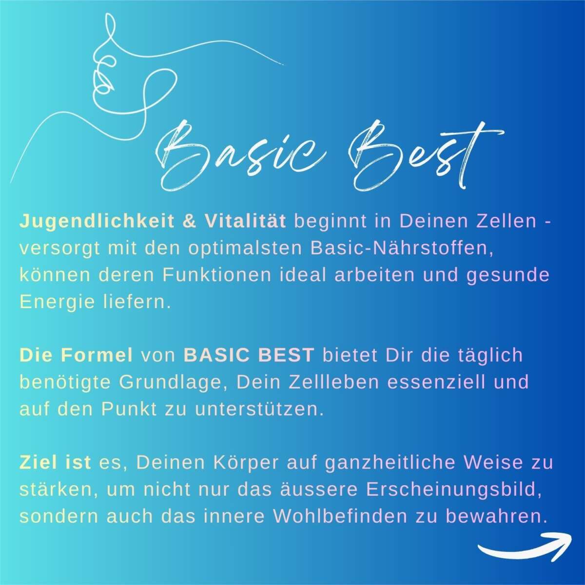 BASIC BEST 1